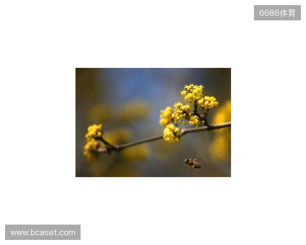 布达佩斯Major第一阶段:战舰轰鸣!FaZe 2-1 RED Canids